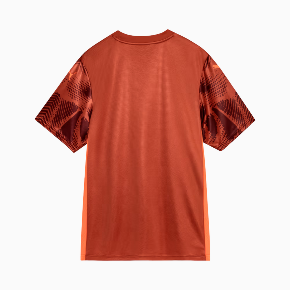Camisa Puma Palmeiras 2025/26 Goleiro II